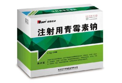 广州注射用青霉素钠
