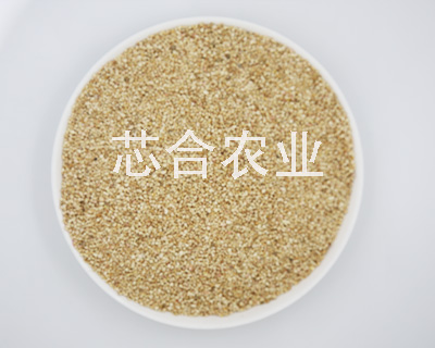 安徽玉米芯颗粒