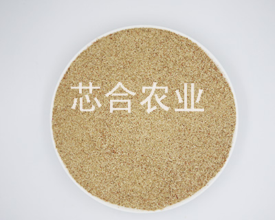 安徽玉米芯
