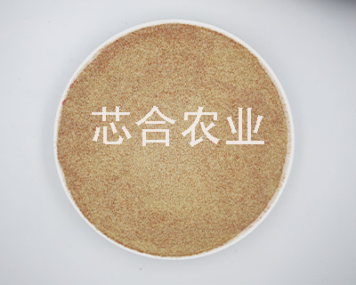 安徽玉米芯粉