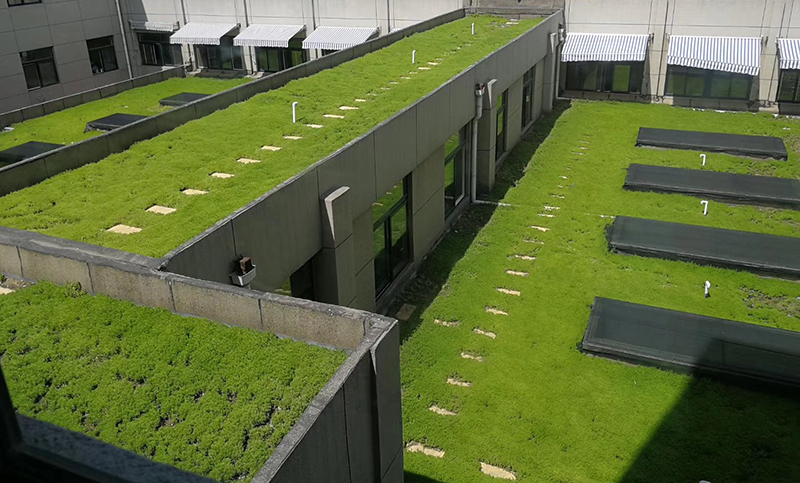 简易式屋顶绿化系统