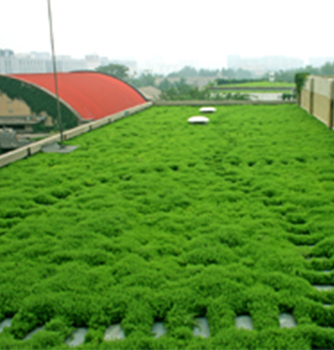 简易式屋顶绿化系统