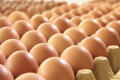 龙岩鸡蛋