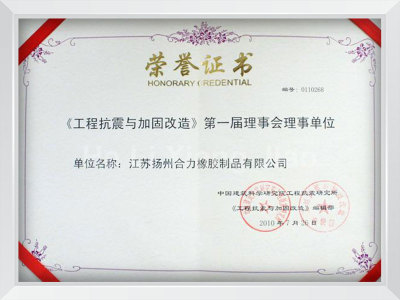 中国工程抗震与加固改造第一届理事会理事单位证书