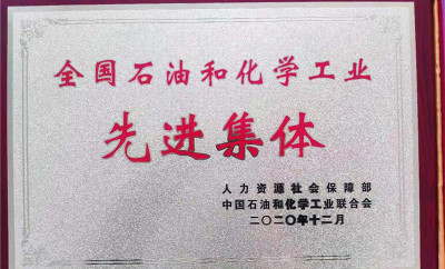 公司荣获“中国石油和化学工业先进集体”荣誉称号
