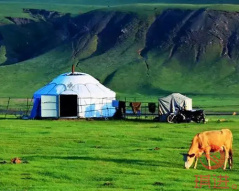 新疆蒙古包
