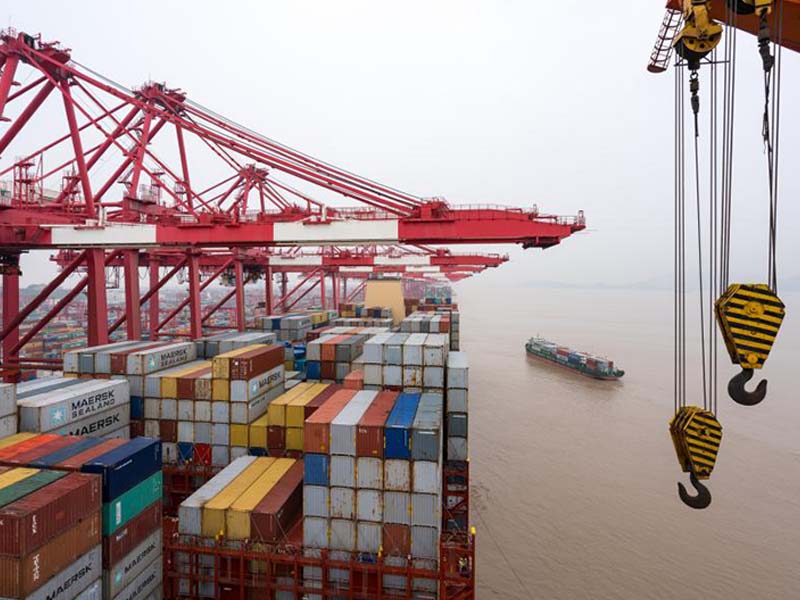 如何处理国际物流海运中的弃货？