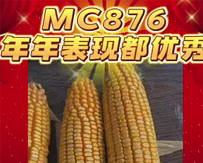 MC876宣传片