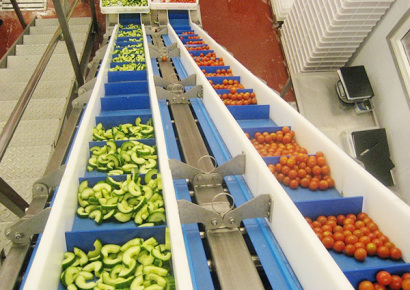 Food grade conveyor belt