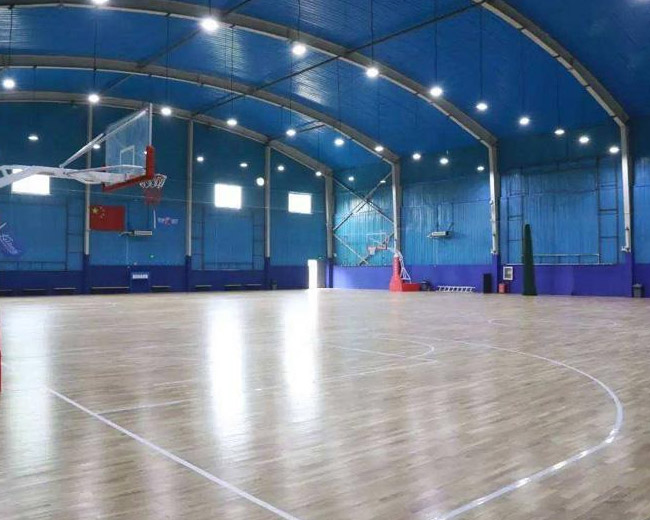 九龙坡篮球训练场地