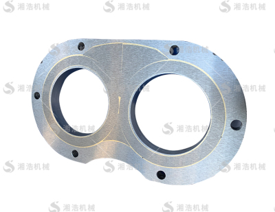 Manufacturers of spectacle plates