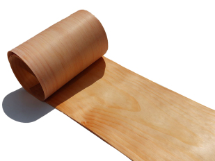 如何区分天然木皮的厚度？