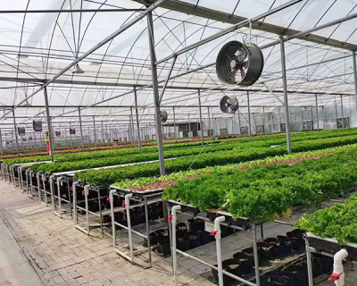 大棚蔬菜灌溉设备