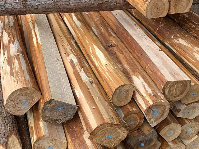 杉木桩的表面处理方法有哪些？