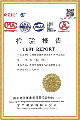 RZ-V-12/T630-25 环网开关设备检验合格证书