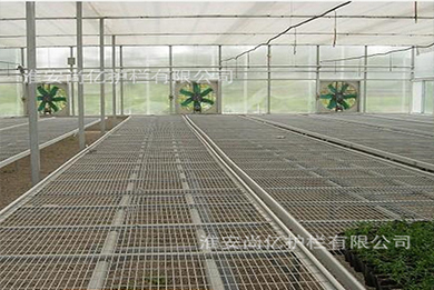 电镀锌温室种植护栏网