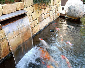 景观鱼池水循环处理设备