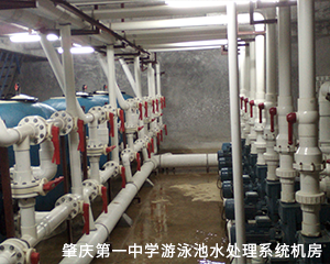 肇庆第 一中学游泳池水处理系统机房