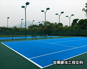 广州实例球场工程