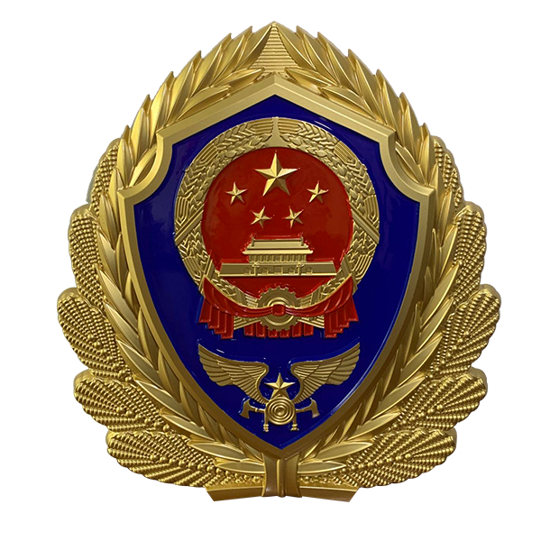 广西消防徽