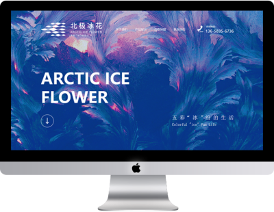 重庆北极冰食品科技有限公司