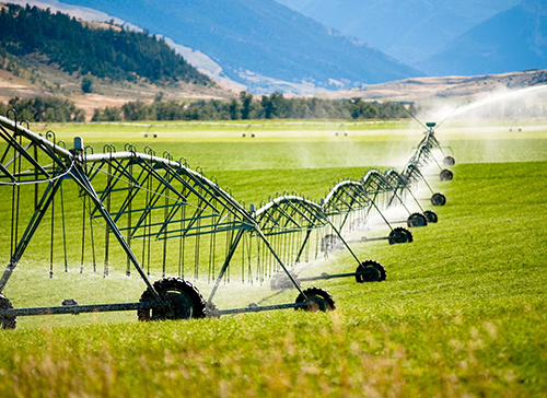 Analyze how the smart irrigation system intelligently regulates irrigation time and water volume based on weather forecast data