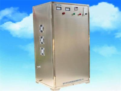 安徽臭氧设备 水处理臭氧机WS-50g