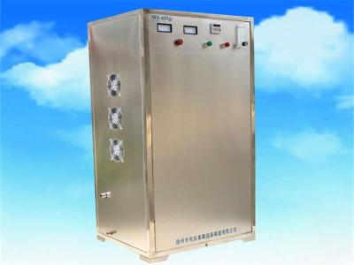 安徽臭氧设备 水处理臭氧消毒机WS-60g