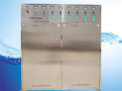 臭氧发生器内置制氧机水泵WS-200g