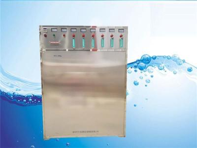 臭氧发生器  水处理臭氧机WS-300g