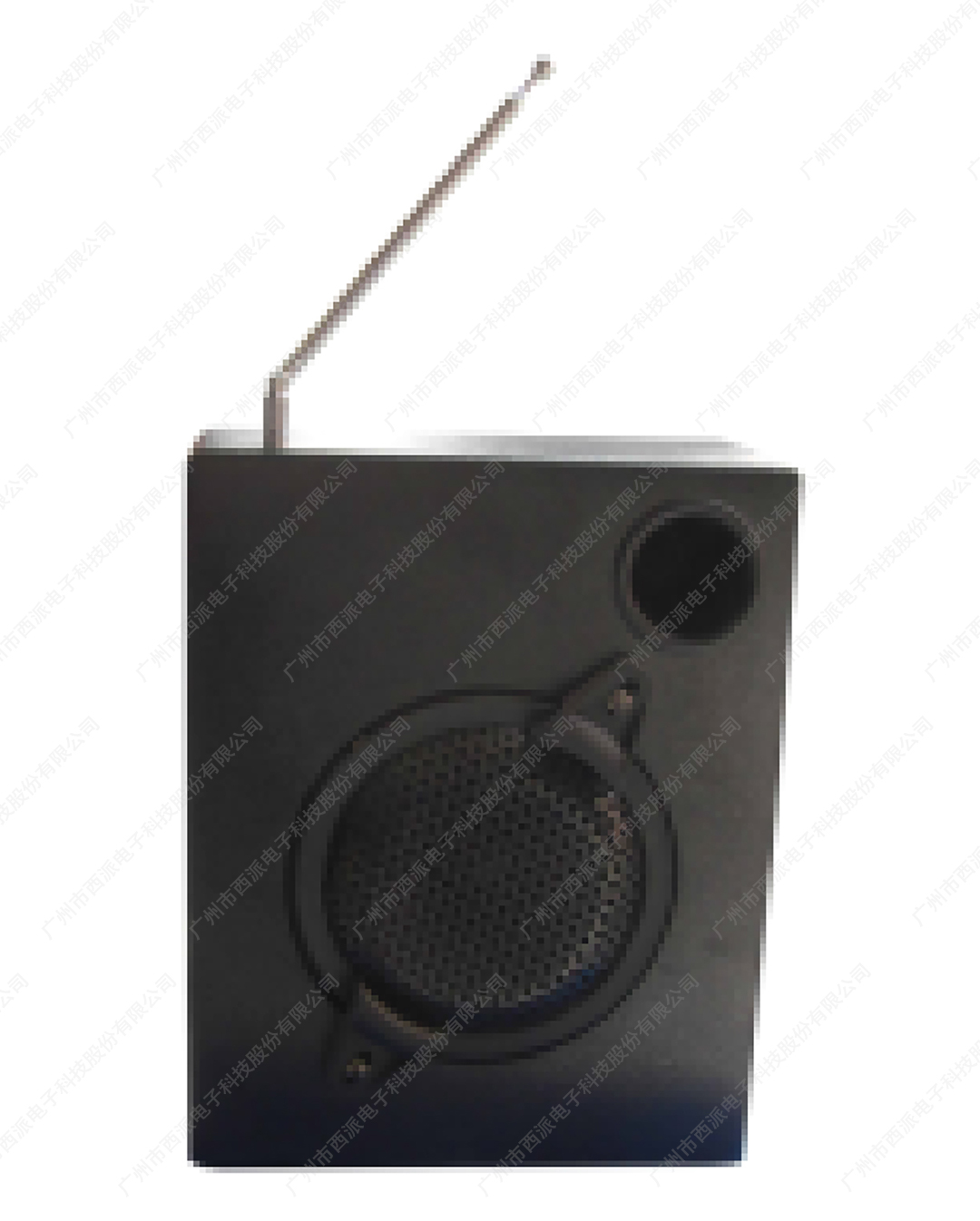 室内木质音箱 CE-530