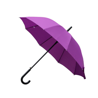 雨伞十骨长柄伞广告伞礼品伞定做印字logo定制双人直柄晴雨伞