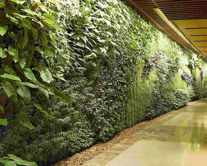 仿真绿植墙有什么装饰的特点？
