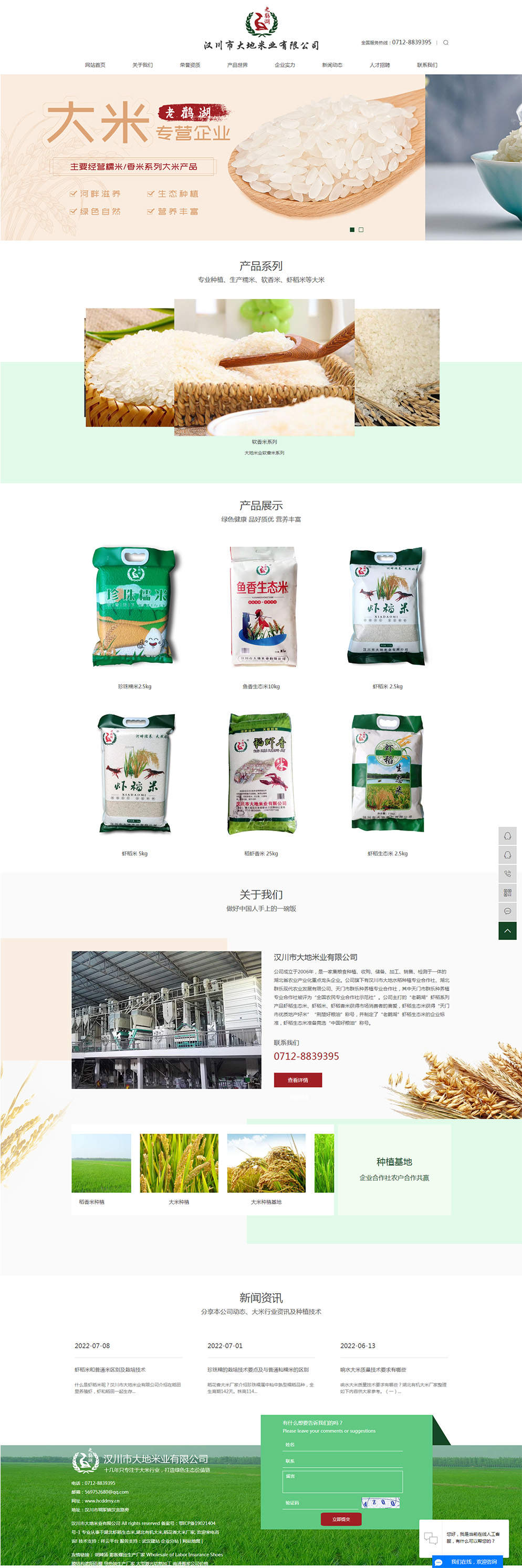 汉川网站建设公司网站案例汉川市大地米业有限公司