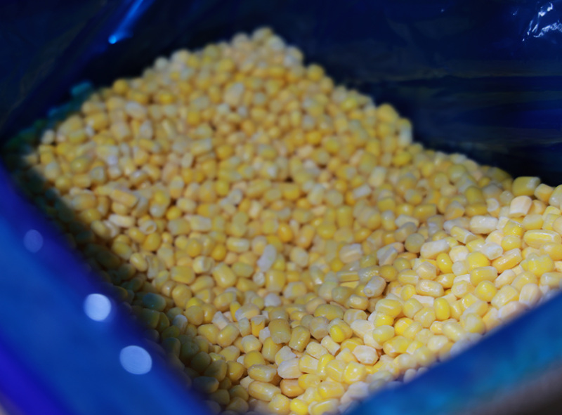 山东速冻甜玉米粒销售厂家普及冰箱小常识：为什么速冻可以保鲜？