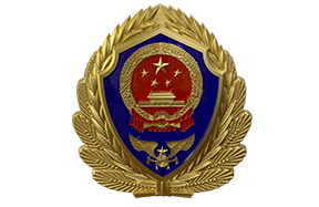 青海消防徽