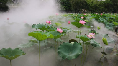 水池雾化景观
