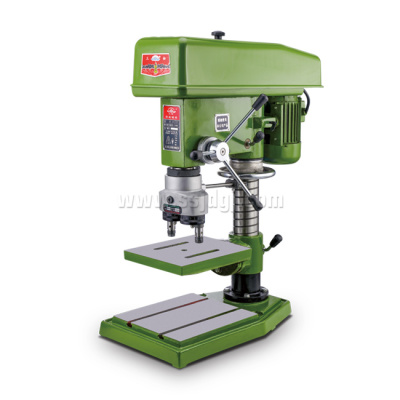 Z4125D Adjustable Two Axis Bench Drill
