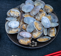 杂色蛤肉的做法有哪些？
