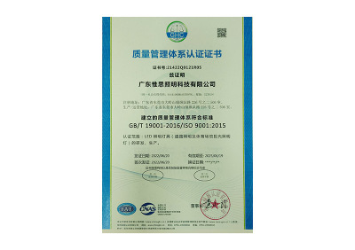 ISO 9001质量管理体系认证证书  中文版本