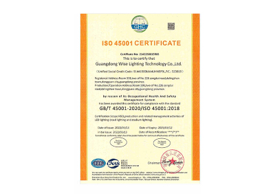 ISO45001 职业健康安全管理体系认证证书  英文版