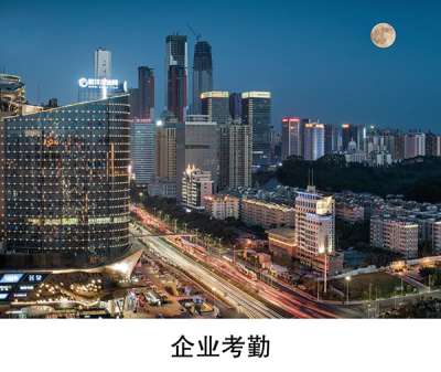上海虹膜考勤管理软件
