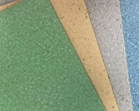 集宁学校PVC复合地板