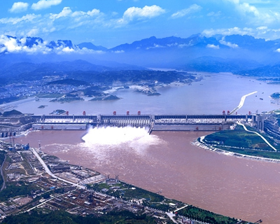 中国水利工程公司