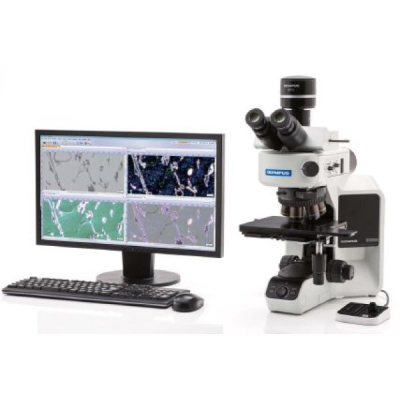 天津奥林巴斯BX53M正置金相显微镜