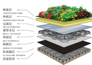 地下种植顶板防水系统