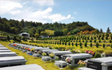 殡葬文化到底是什么？