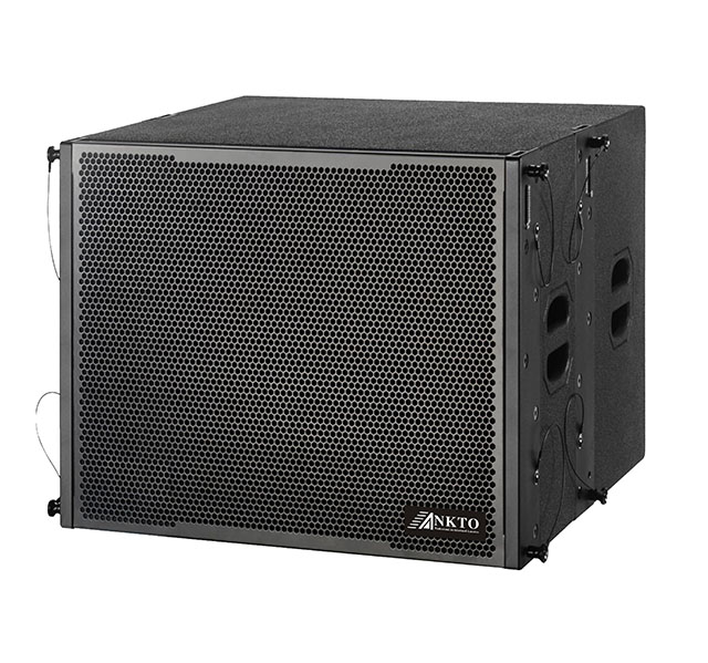Dual 15-inch line array subwoofer TS-215