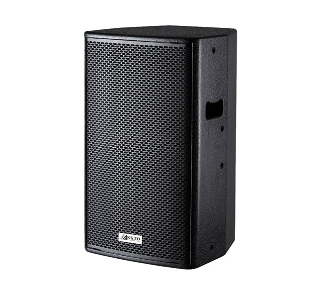 Single 10-inch full-range speaker AD-10