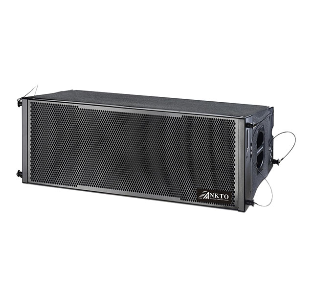 Dual 10-inch line array speakers T-10
